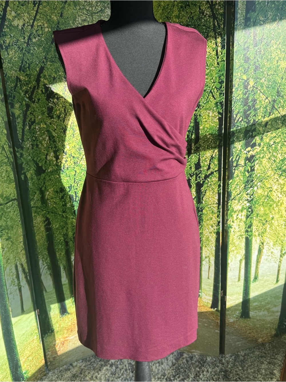 Ann Taylor Sleeveless Wrap-Front Wine Dress 6P